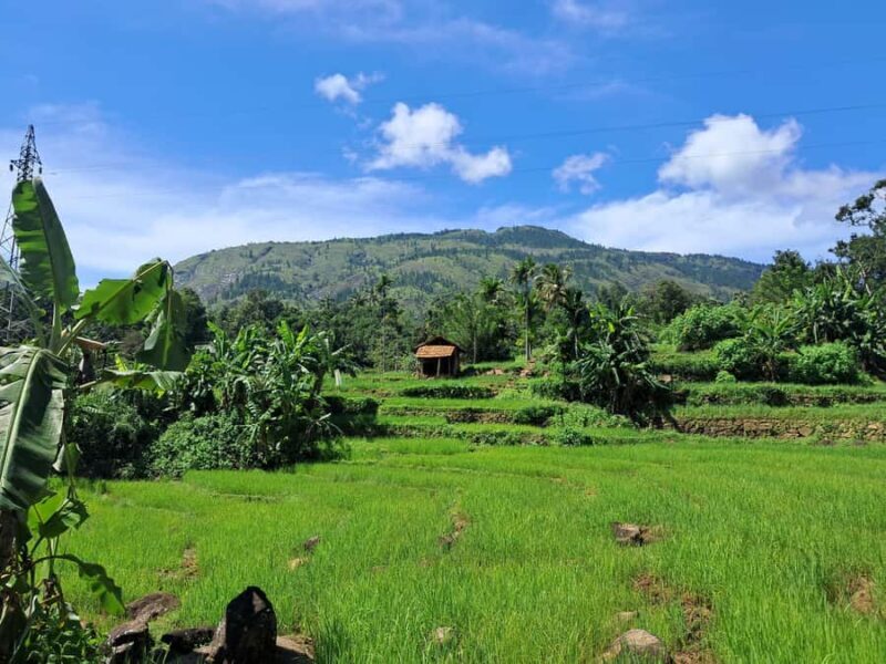 Belihuloya Village Tour with Lunch - Key Points