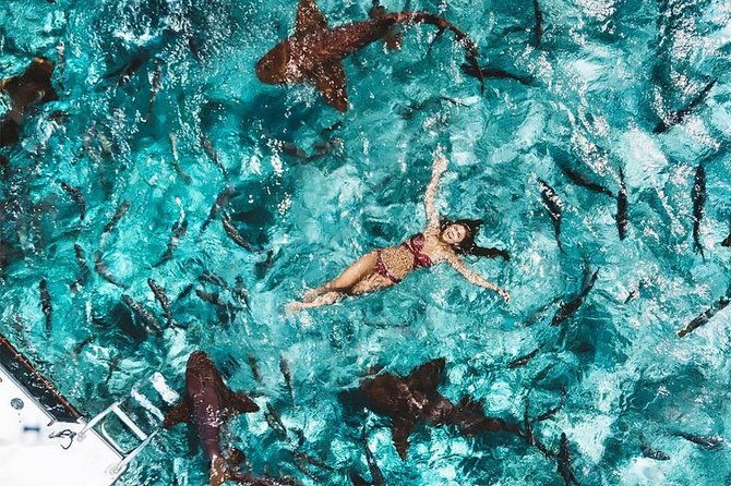 belize-hol-chan-marine-reserve-shark-ray-alley-snorkel-tour-ambergris-caye