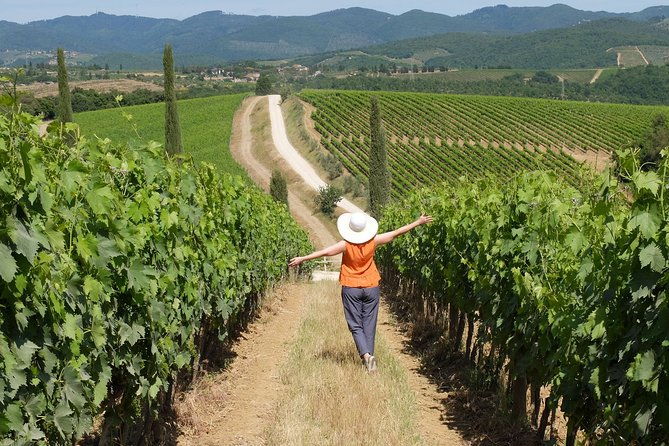 bella-toscana-private-tour-2-chianti-wineries-and-san-gimignano-from-livorno