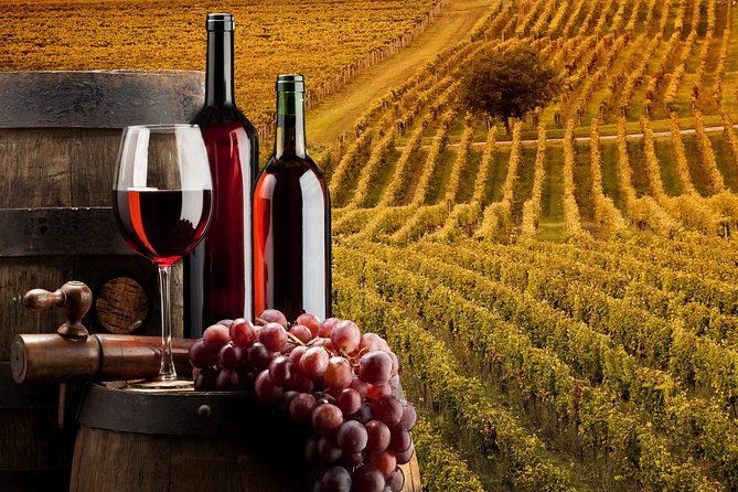 bella-toscana-private-tour-2-chianti-wineries-and-san-gimignano-from-livorno