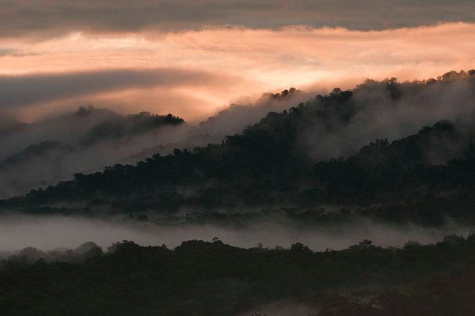 bellavista-cloud-forest-reserve-full-day