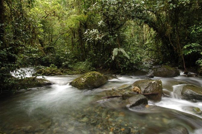 bellavista-cloud-forest-reserve-full-day