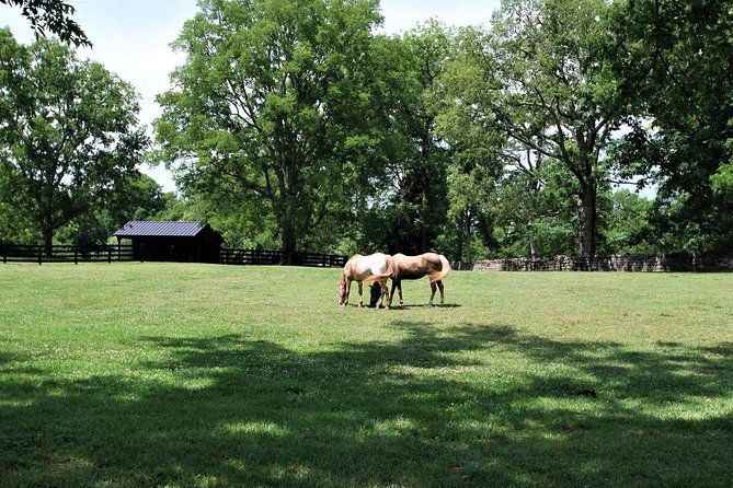 belle-meade-guided-mansion-tour-with-complimentary-wine-tasting