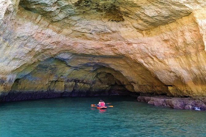 benagil-and-dolphins-tour