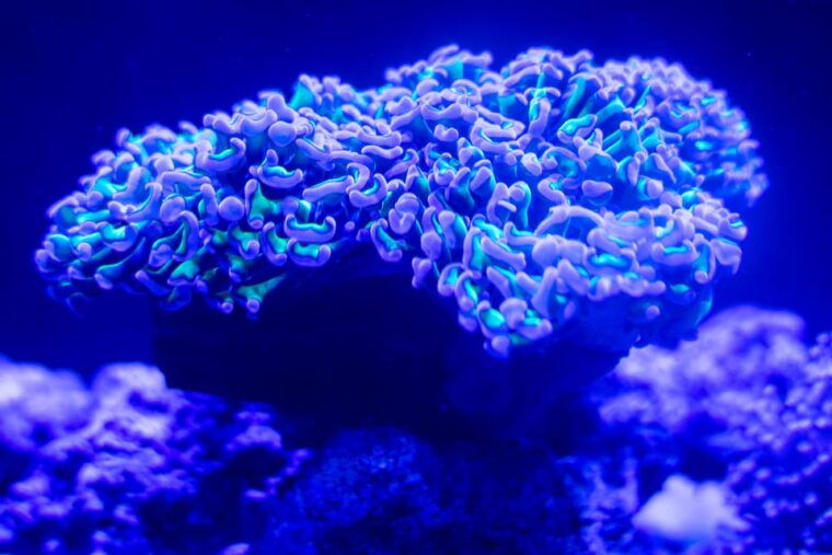 benalmadena-aquarium-visit
