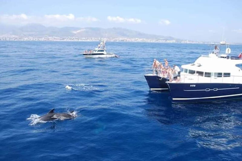 Benalmádena: Catamaran Cruise with Drinks and Swim Stop - Key Points