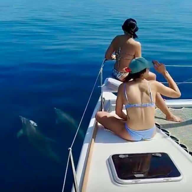 Benalmádena: Catamaran with dolphin watching and drinks - An Authentic Look at the Experience
