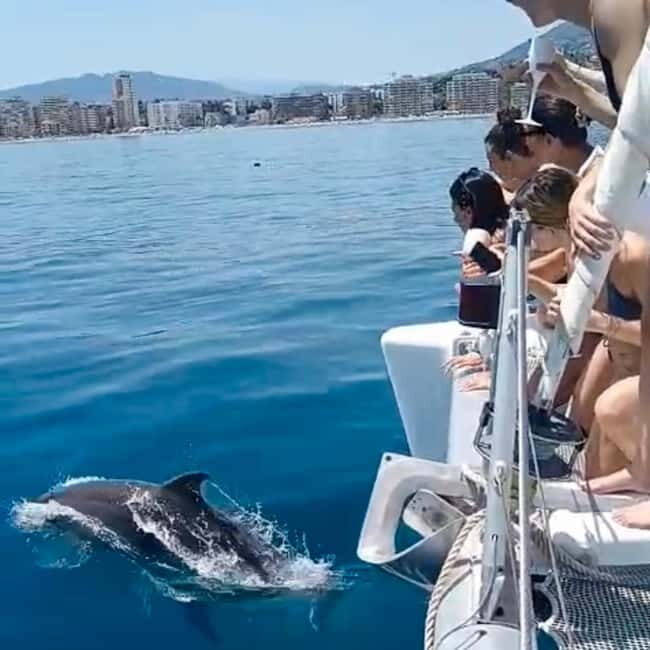 Benalmádena: Catamaran with dolphin watching and drinks - Whats Included & Whats Not