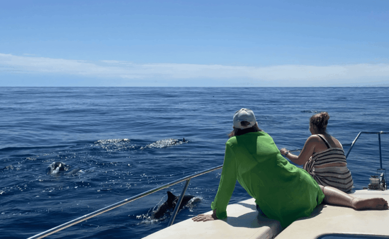 benalmadena-private-boat-trips