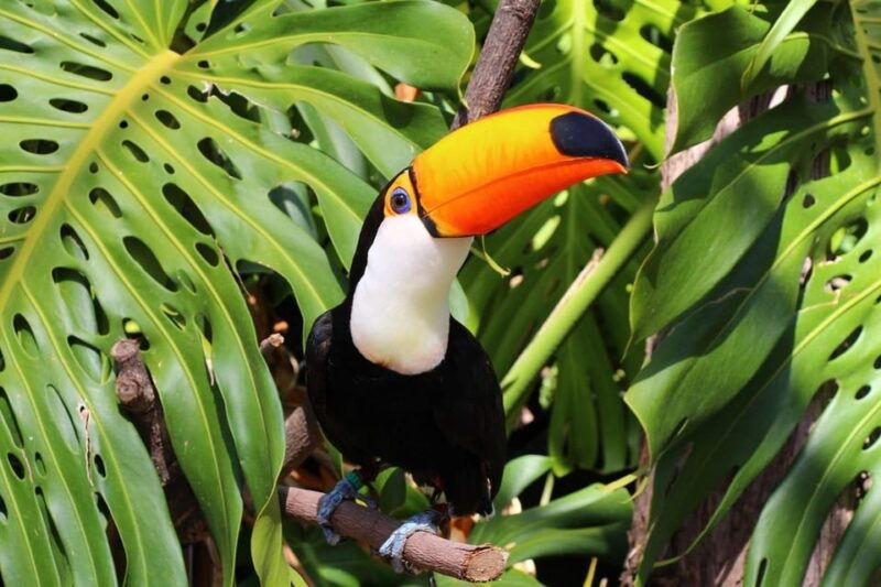 benalmadena-selwo-marina-admission-ticket