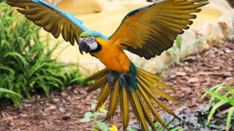 benalmadena-selwo-marina-admission-ticket