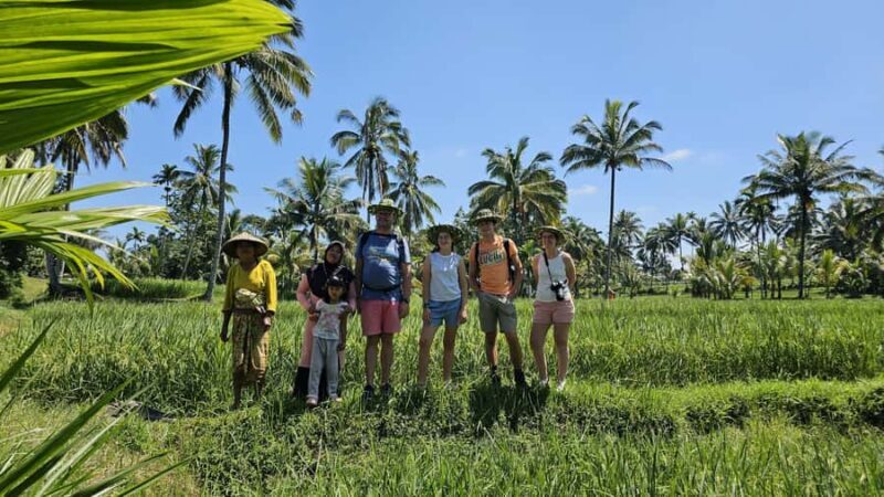 Benang Kelambu: Authentic Lombok Rice Field & Waterfall Tour - Key Points