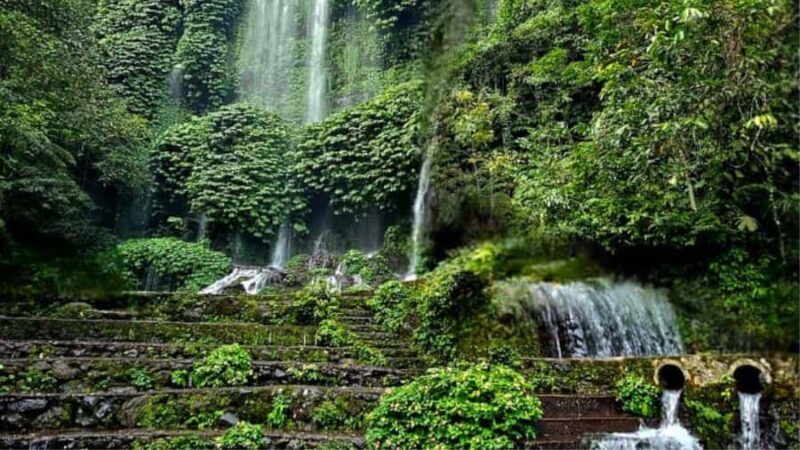 Benang Kelambu: Authentic Lombok Rice Field & Waterfall Tour - An In-Depth Look at the Lombok Rice Field & Waterfall Tour
