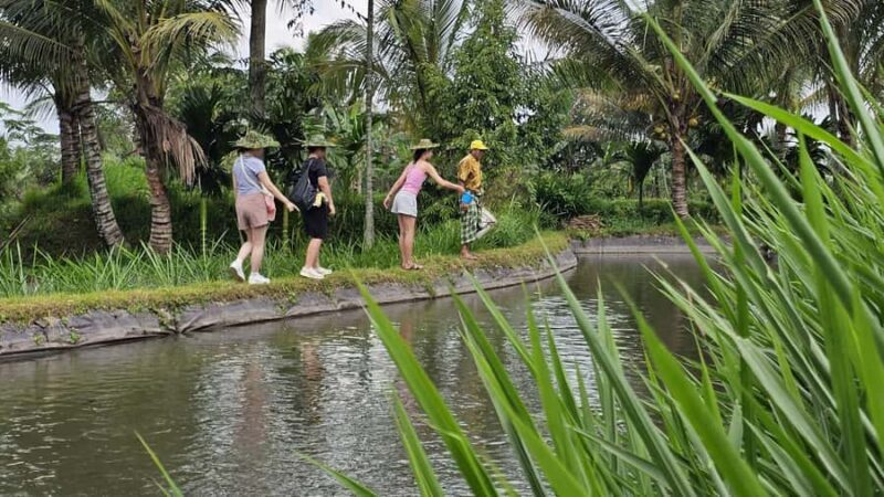 Benang Kelambu: Authentic Lombok Rice Field & Waterfall Tour - FAQ