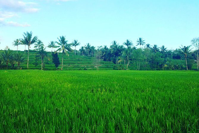 Benang kelambu waterfall and benang stokel waterfall lombok - Exploring Lombok’s Waterfalls: The Itinerary in Detail