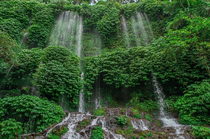 Benang Kelambu Waterfalls the Hidden Wonders of Lombok Island - Who Would Love This Tour?