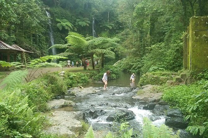 Benang Stokel and Kelambu Waterfall Tour - Lombok Private Tour - What’s Not Included and Tips
