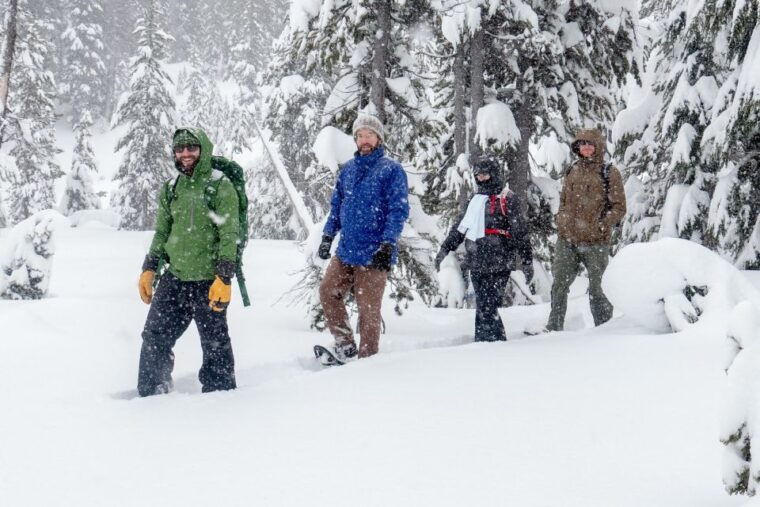 bend-half-day-snowshoe-tour-in-the-cascade-mountain-range