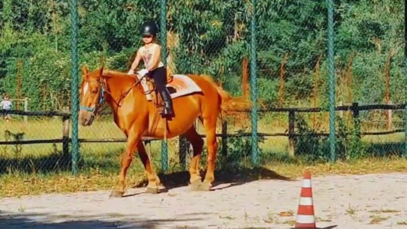 Benevento: Horseback Riding Tour with Aperitif - Final Thoughts