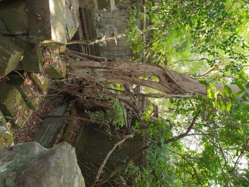 Beng Mealea, Koh Ker & Floating village Day Tour - The Sum Up