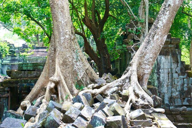 Beng Melea and Koh Ker Jungle Temple Tour from Siem Reap - A Closer Look at the Itinerary