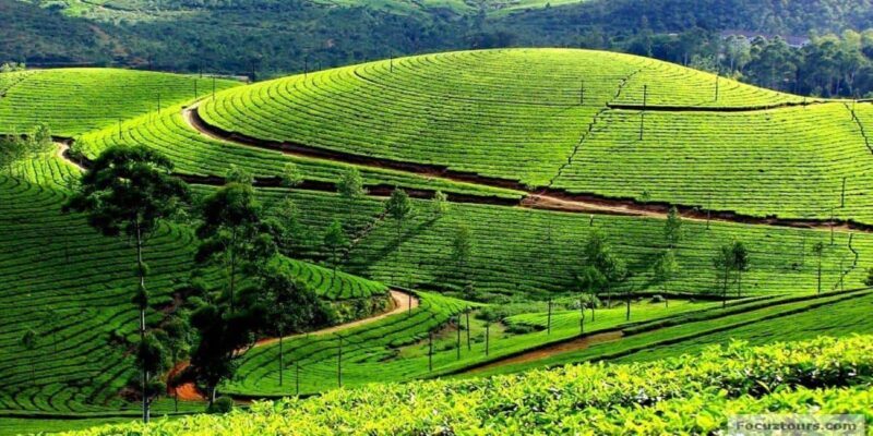 Bengaluru, Mysore, & Ooty: 6-Day Sightseeing Tour - FAQ