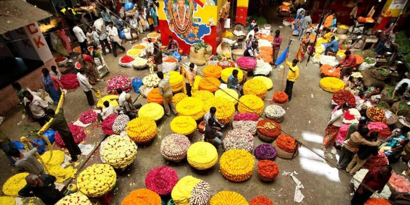 Bengaluru: Private City Tour - Is This Tour Right for You?