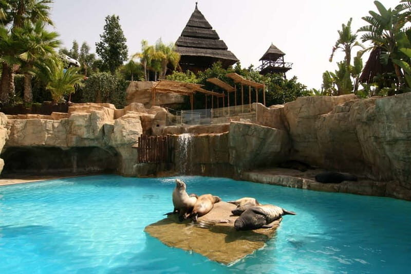 Benidorm: Mundomar Animal Park Entrance Ticket - What is Mundomar? An Animal and Nature Experience