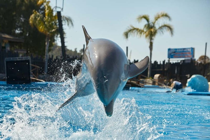 Benidorm: Mundomar Animal Park Entrance Ticket - Practical Details: Visiting Mundomar