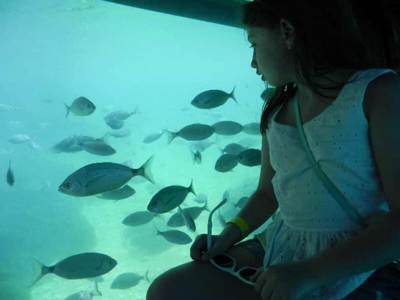 Benidorm: Peacock Island Boat Trip with Submarine included. - The Journey to Peacock Island: What to Expect