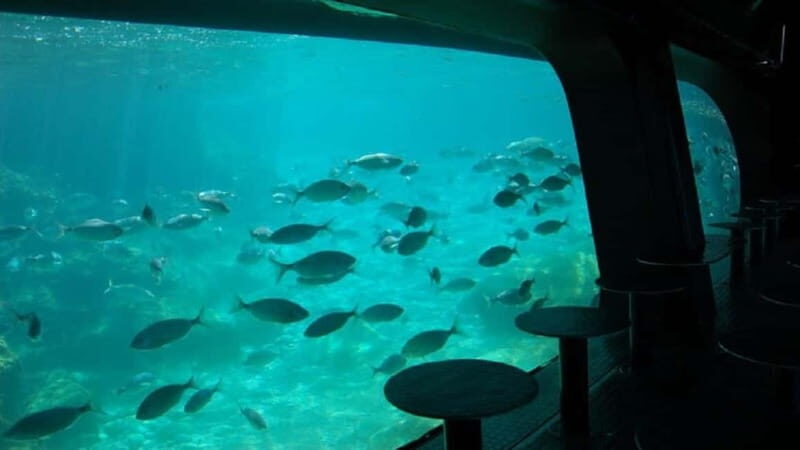 Benidorm: Peacock Island Boat Trip with Submarine included. - Practical Tips for Visitors