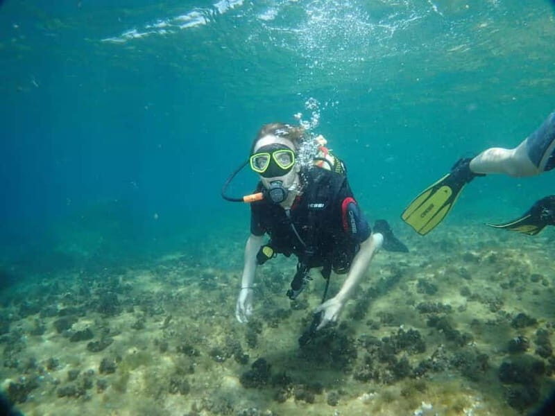 Benidorm: Scuba Diving Experience - Key Points