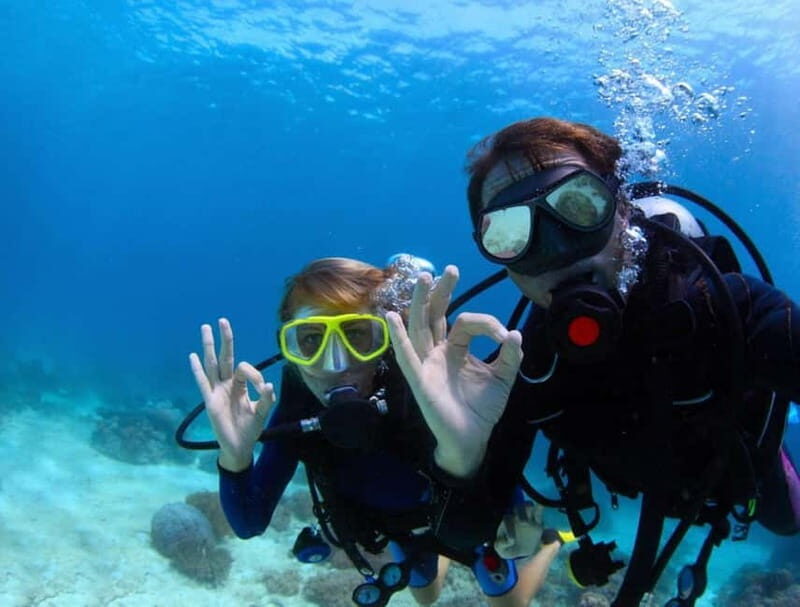 Benidorm: Scuba Diving Experience - The Itinerary Breakdown