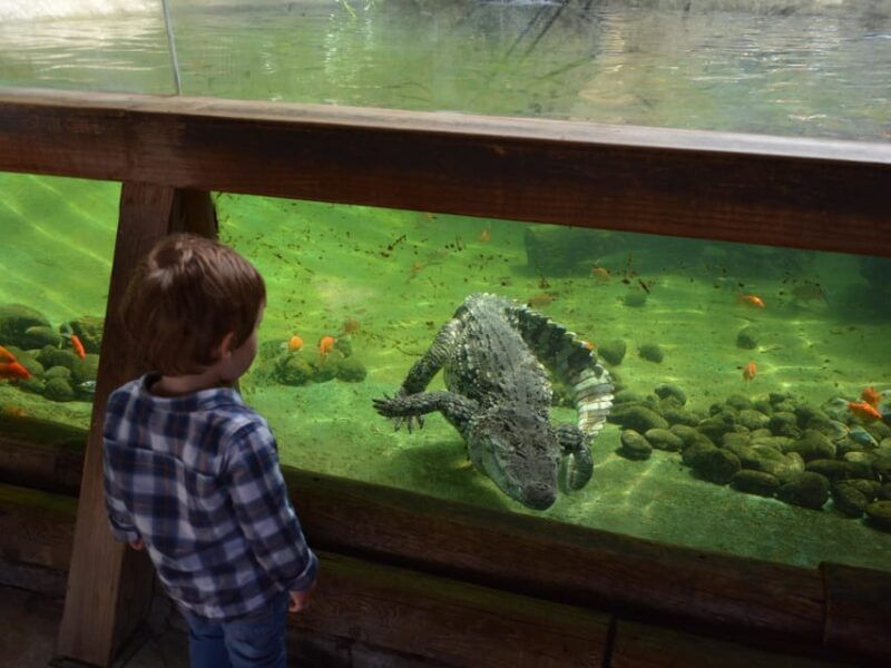 benidorm-terra-natura-and-aqua-natura-combo-day-ticket