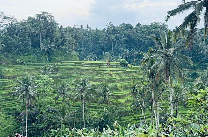 Benoa Port - Cruise Ship Shore Excursion - Private Guided Tour - The Sum Up