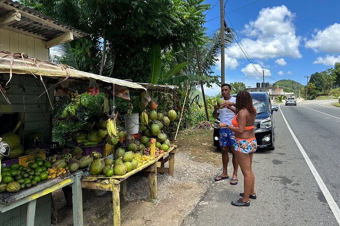 benta-river-falls-private-tour-from-montego-bay