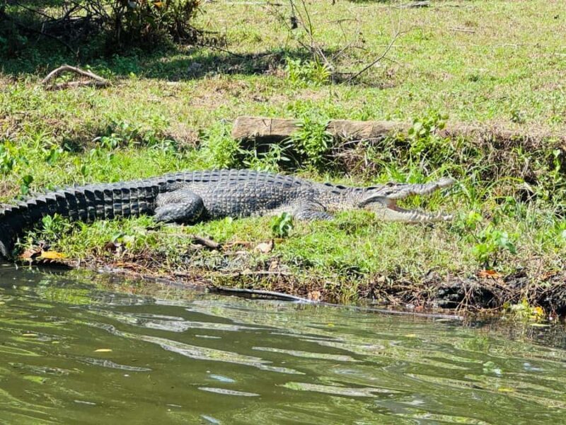 Bentota/Beruwala: Galle Fort, Koggala Lake & Kayaking Tour - Who Will Love This Tour?