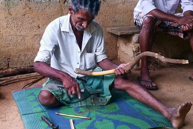 Bentota City Tour from Colombo - The Sum Up