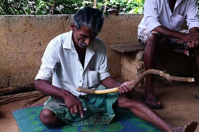 Bentota City Tour from Mirissa - Key Points