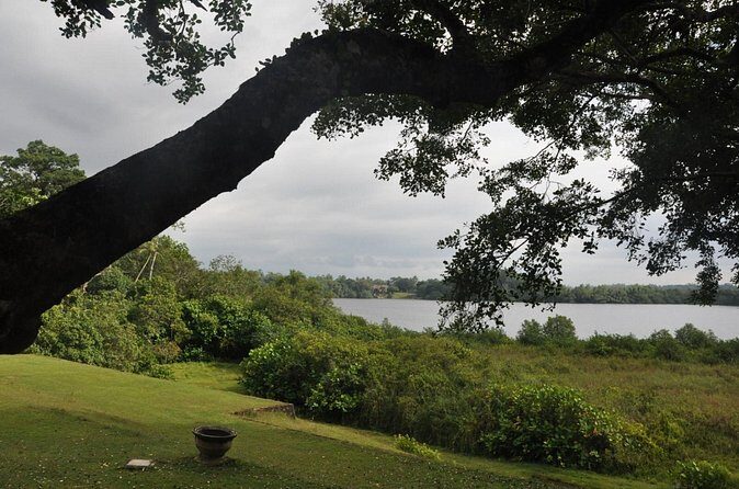 Bentota City Tour from Mirissa - FAQ