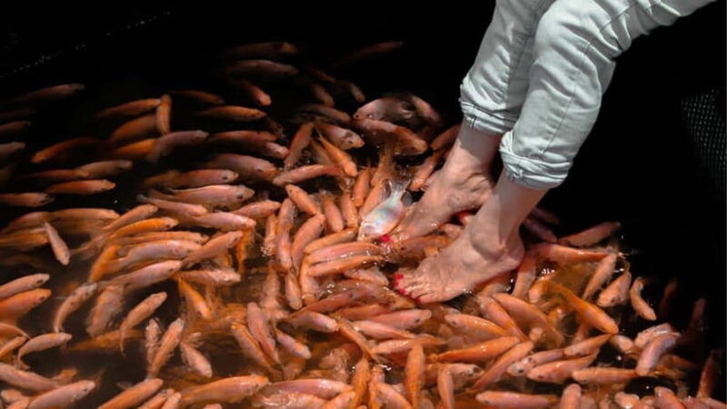 bentota-city-tour-from-unawatuna