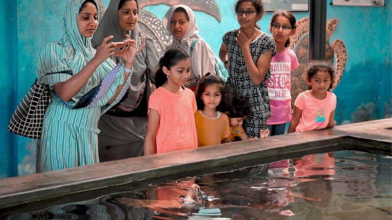 bentota-city-tour-from-unawatuna