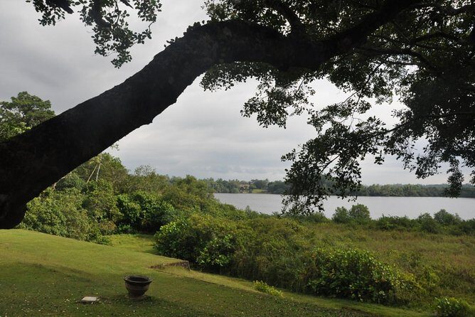 Bentota City Tour from Weligama - Final Thoughts: Is the Bentota City Tour from Weligama Worth It?