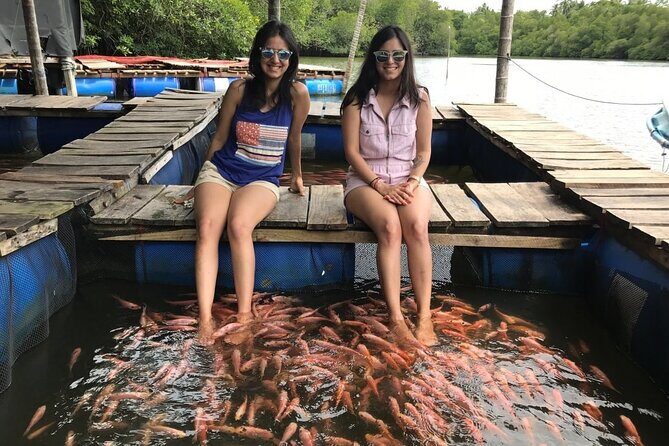 Bentota Day Tour From Colombo With Sri Lankan Lunch - Who Will Love This Tour?