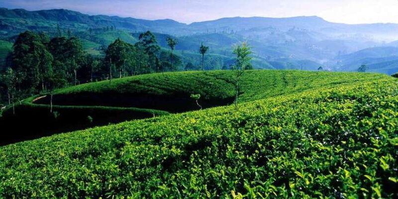 bentota-kalutara-hikkaduwa-day-trip-to-ella-highlands