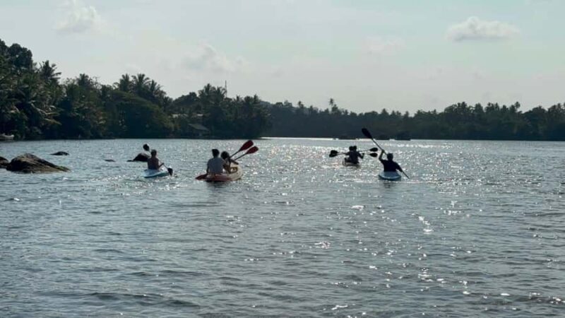 Bentota/Kalutara: Koggala Lake Boat Safari & Kayaking Tour - Exploring Koggala Lake: An Authentic Sri Lankan Waterway Experience