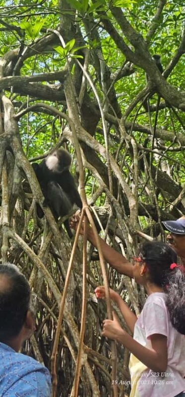 Bentota River Safari -Ahungalla/Bentota/Aluthgama/Kosgoda - The Sum Up