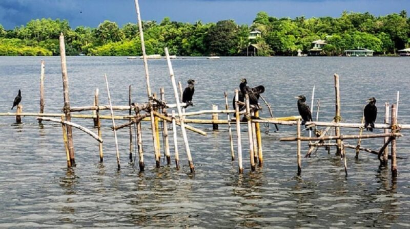 Bentota River Safari -Ahungalla/Bentota/Aluthgama/Kosgoda - FAQs