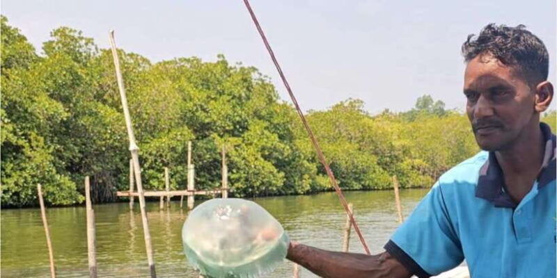 bentota-river-safari-ahungalla-bentota-aluthgama-kosgoda