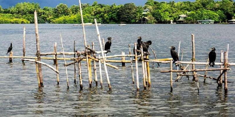 bentota-river-safari-ahungalla-bentota-aluthgama-kosgoda